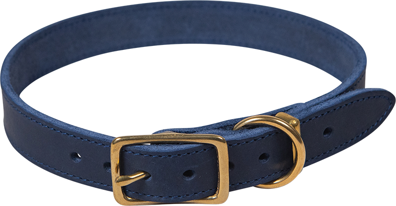 AB POSH LEATHER Collier Bleu-25mmx65cm