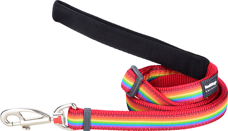 RD  Leiband Rainbow Rood-M 20mmx1,8m