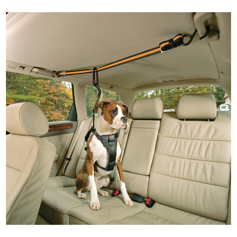 KURGO Tyrolienne pour voiture avec ceinture de sécurité Noir/Orange-101-180cm/33-56cm