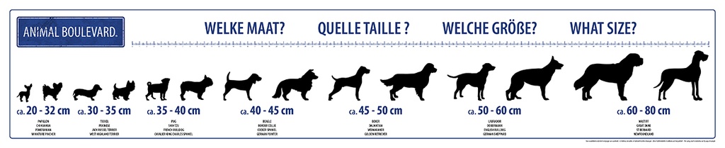 AB POS Sizing Chart Magnet Panel-100x20cm