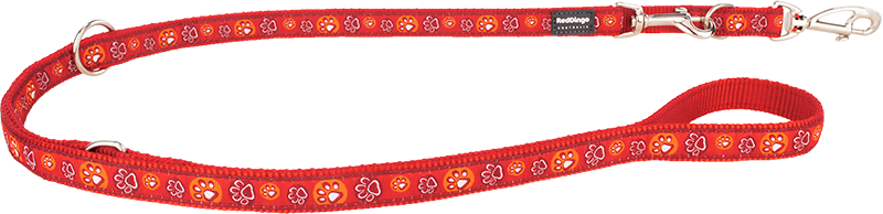 RD Laisse Multi Paw Impressions Rouge-M 20mmx2,0m