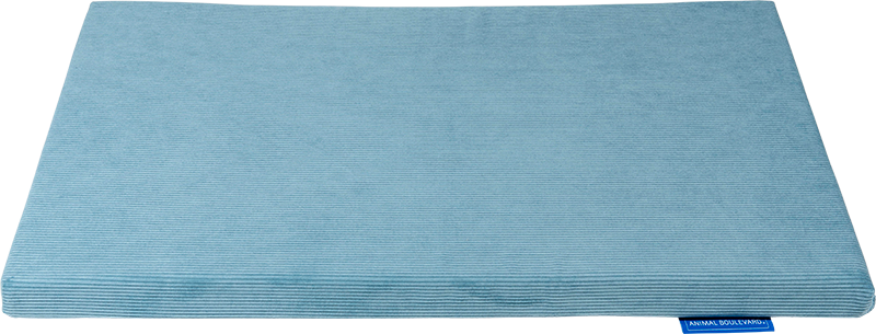 AB Bench Matras IJsblauw-XXL 119x73x5cm