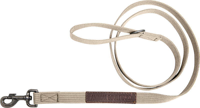 [AB30524] AB CANVAS Lange Leine Beige-25mmx180cm