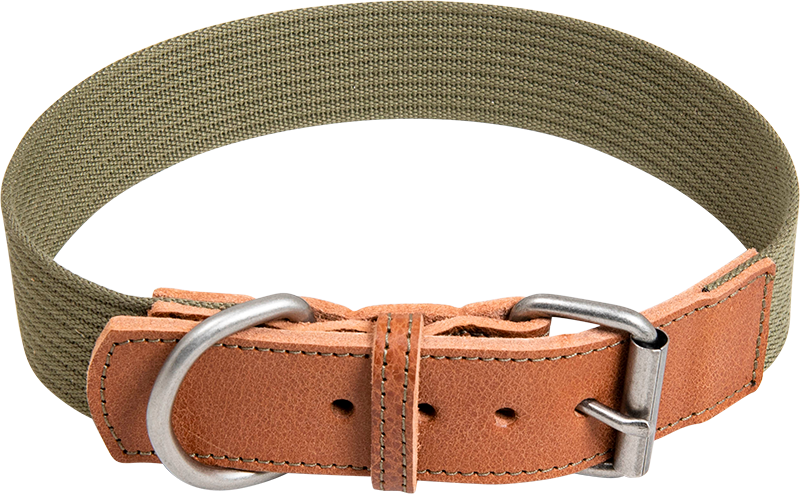 AB WAXED LEATHER CANVAS Collar Cognac/Green-25mmx42-50cm