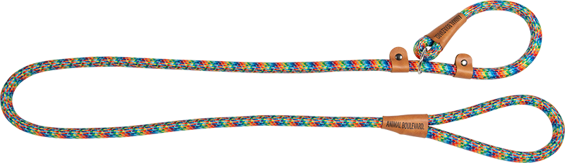 [AB32100] AB SCHOOL LEASH Regenboog-15mmx180cm