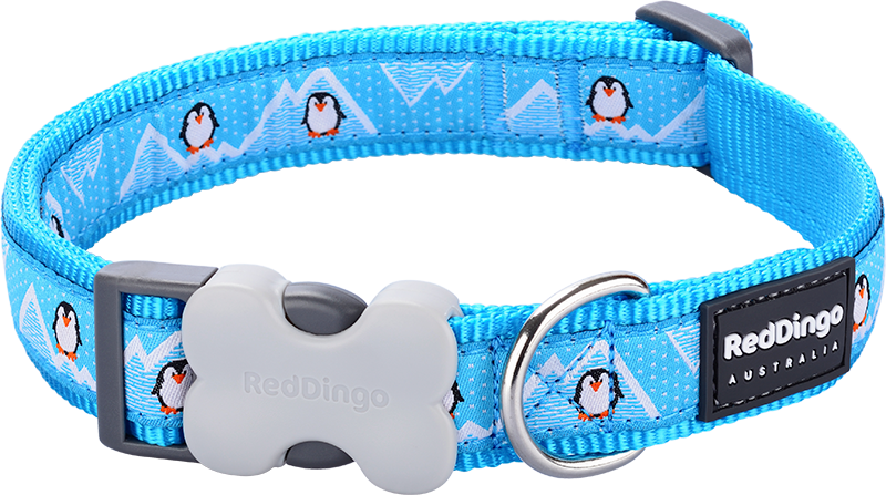 [DC-PE-TQ-20] RD Halsband Penguin Turquoise-M 20mmx31-47cm