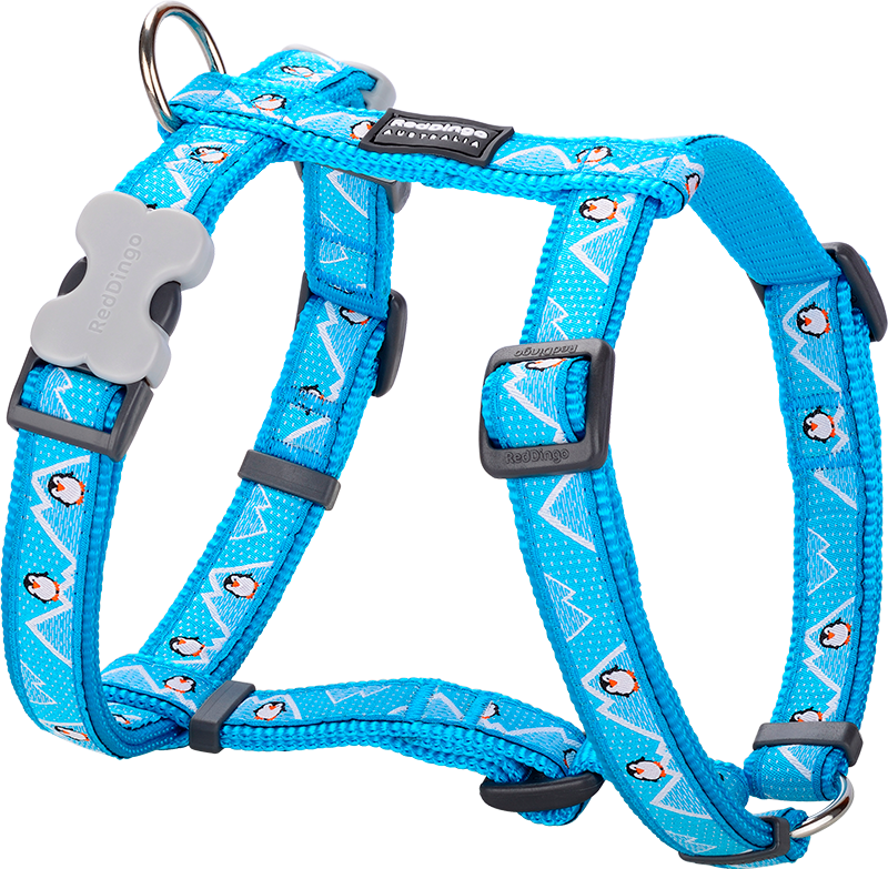 RD Harness Penguin Turquoise-S