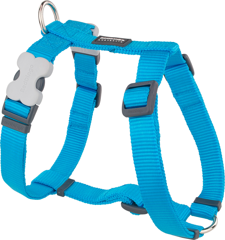 [DH-ZZ-TQ-25] RD Harnas Turquoise-L