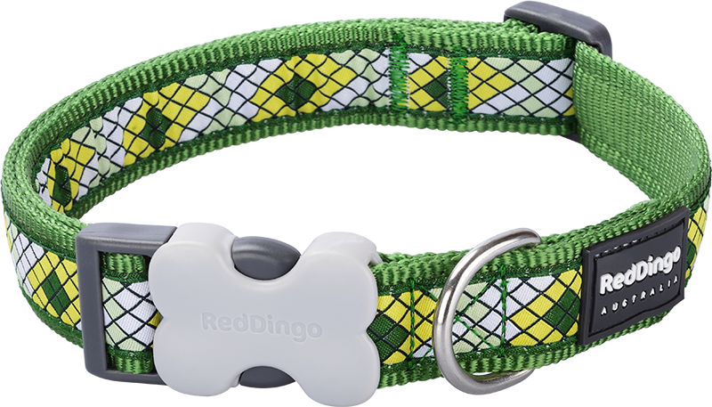 [DC-MY-GR-20] RD Halsband Monty Grün-M 20mmx31-47cm