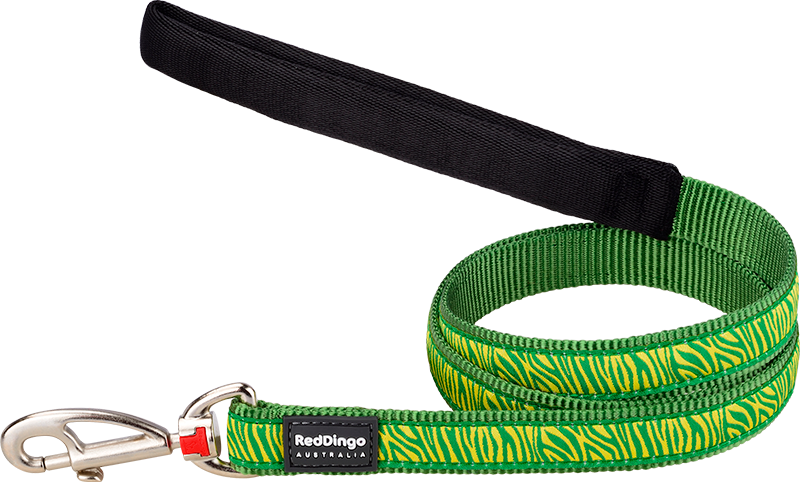 RD Laisse Safari Vert-XS 12mmx1,2m