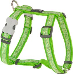 [DH-DC-LG-25] RD Harnais Daisy Chain Vert Citron-L 25mm