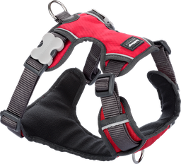 [DH-PH-RE-XS] RD Gewatteerd Harnas Rood-XS 12mm