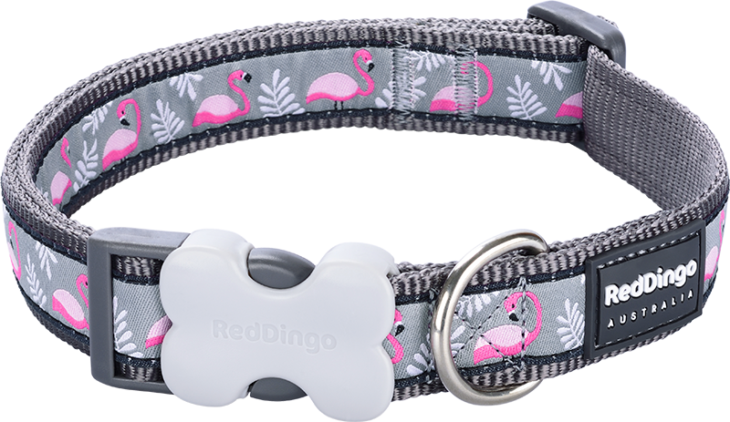 RD Halsband Flamingo Cool Grau-XS 12mmx20-32cm