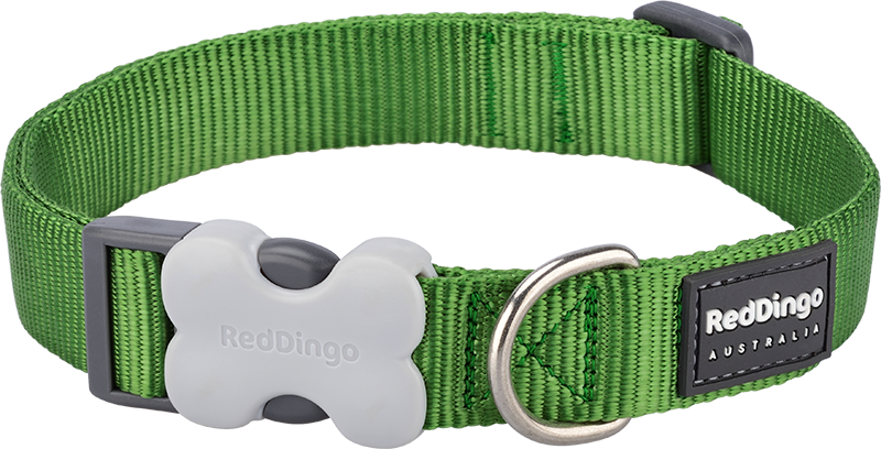 [DC-ZZ-GR-12] RD Halsband Grün-XS 12mmx20-32cm
