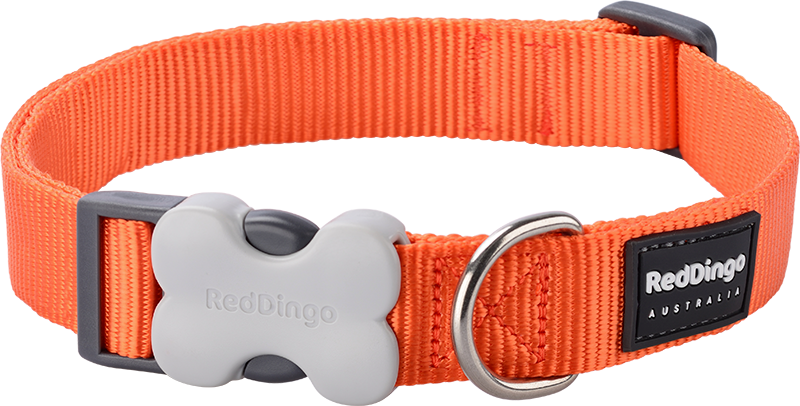 [DC-ZZ-OR-12] RD Collar Orange-XS 12mmx20-32cm