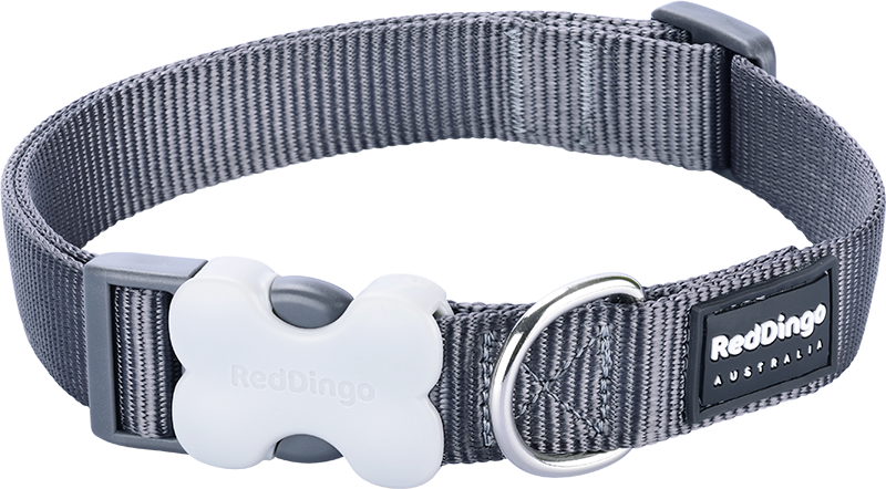 RD Collar Grey-L 25mmx41-63cm