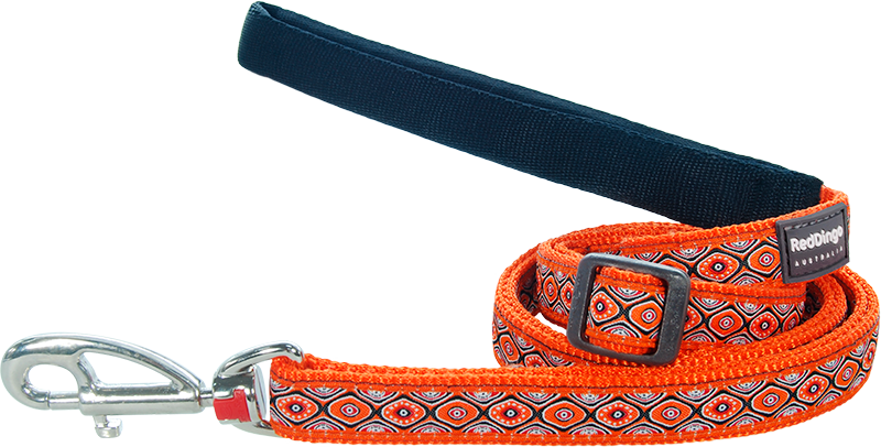 RD Laisse Snake Eyes Orange-M 20mmx1,8m