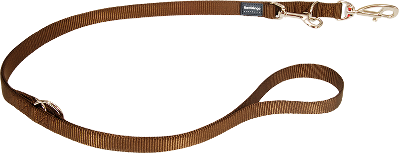RD Laisse Multi Brun-M 20mmx2,0m