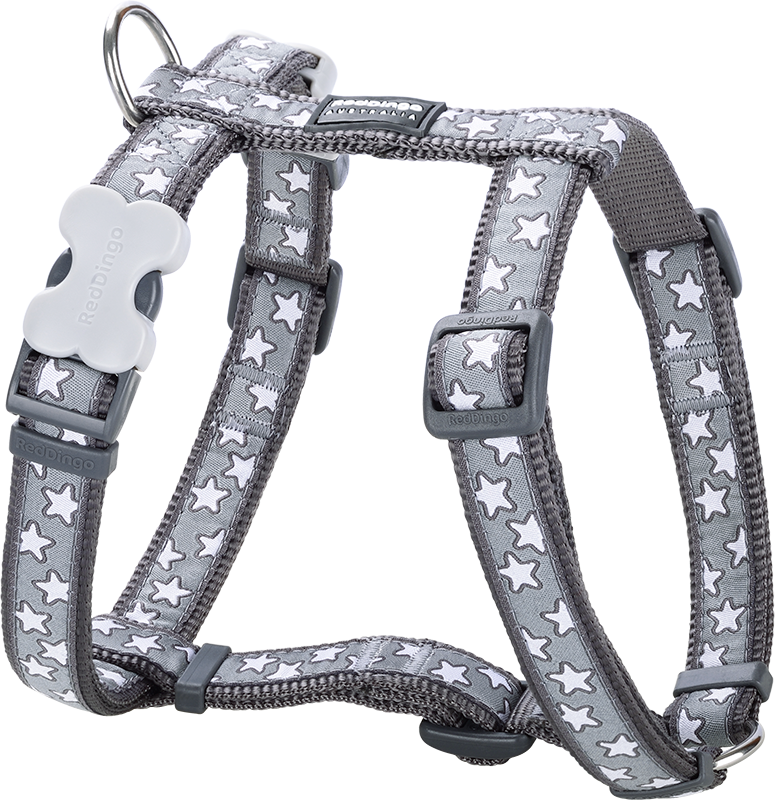 [DH-ST-GY-15] RD Geschirr Stars White Grau-S 