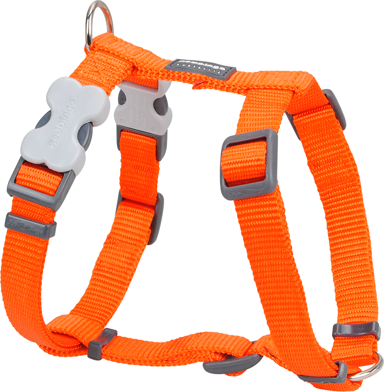 RD Geschirr Orange-XS 