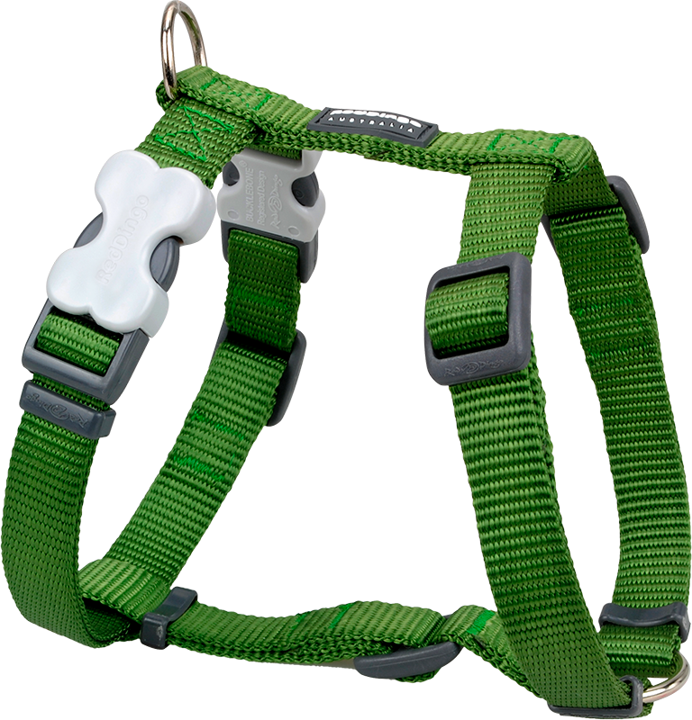 RD Harness Green-S 