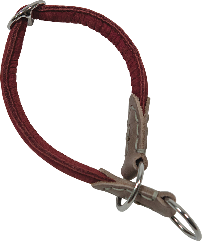 AB NUBUCK LEATHER Martingale-Halsband mit Stopp Bordeaux-10mmx55cm