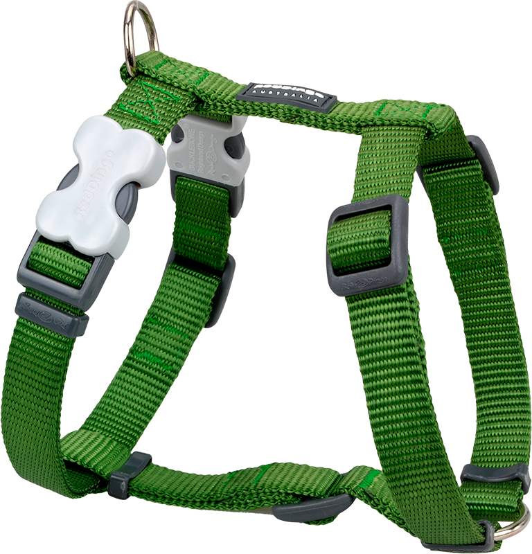 RD Harnas Groen-XL 