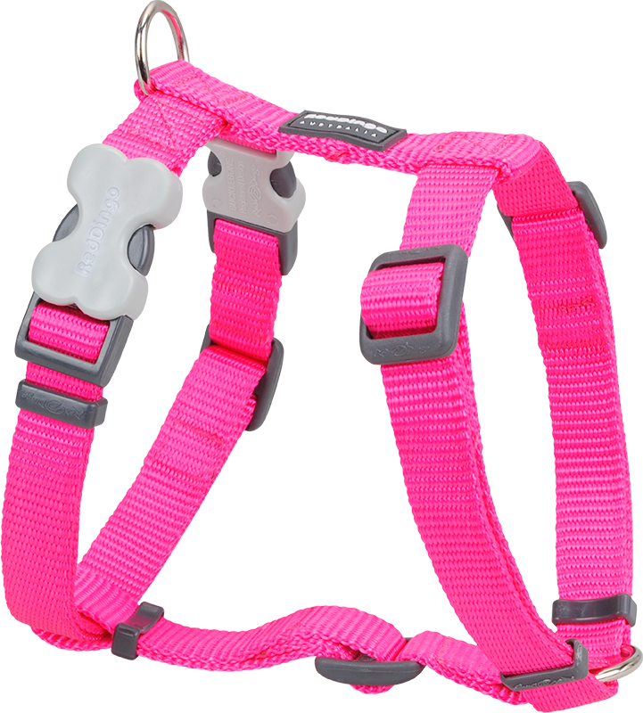 RD Harnas Roze-XL 