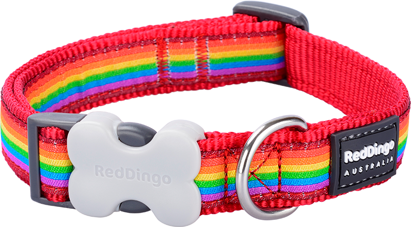RD  Halsband Rainbow Rood-XS 12mmx20-32cm
