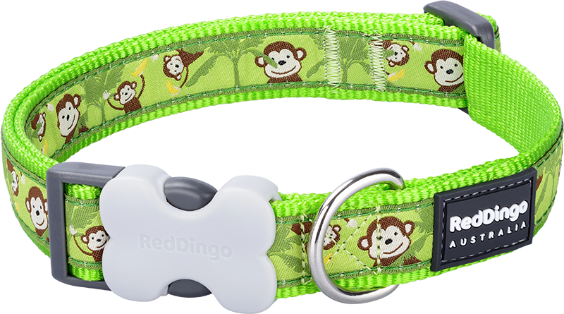 [DC-MK-LG-25] RD  Halsband Monkey Limoen Groen-L 25mmx41-63cm