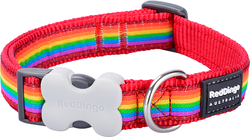 [DC-RA-RE-25] RD  Halsband Rainbow Rood-L 25mmx41-63cm