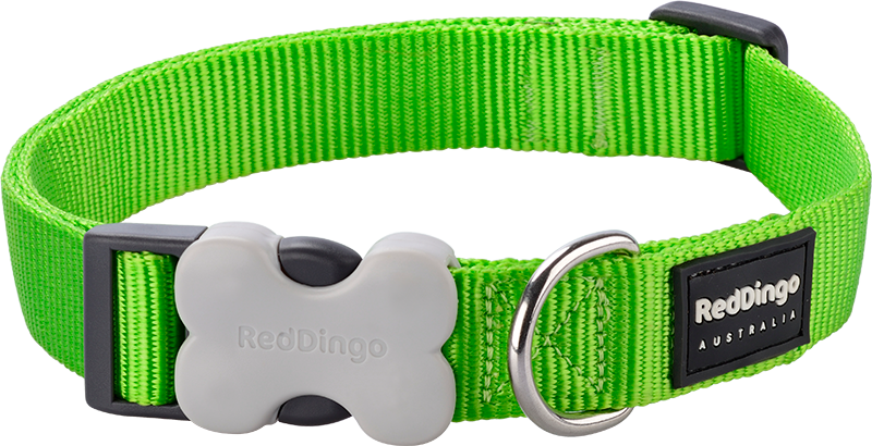 RD  Halsband Limoen Groen-S 15mmx24-36cm