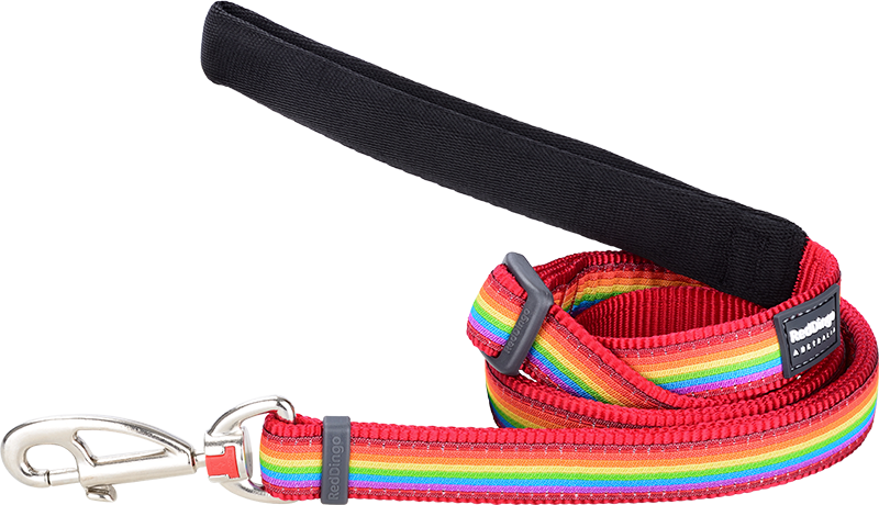 RD  Leiband Rainbow Rood-XS 12mmx1,8m