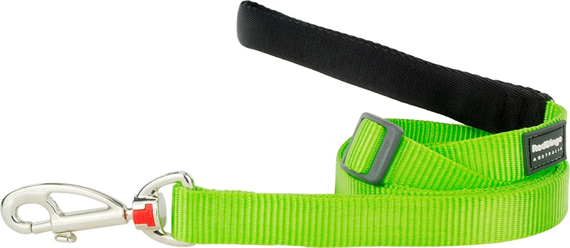 RD  Leiband Limoen Groen-XS 12mmx1,8m