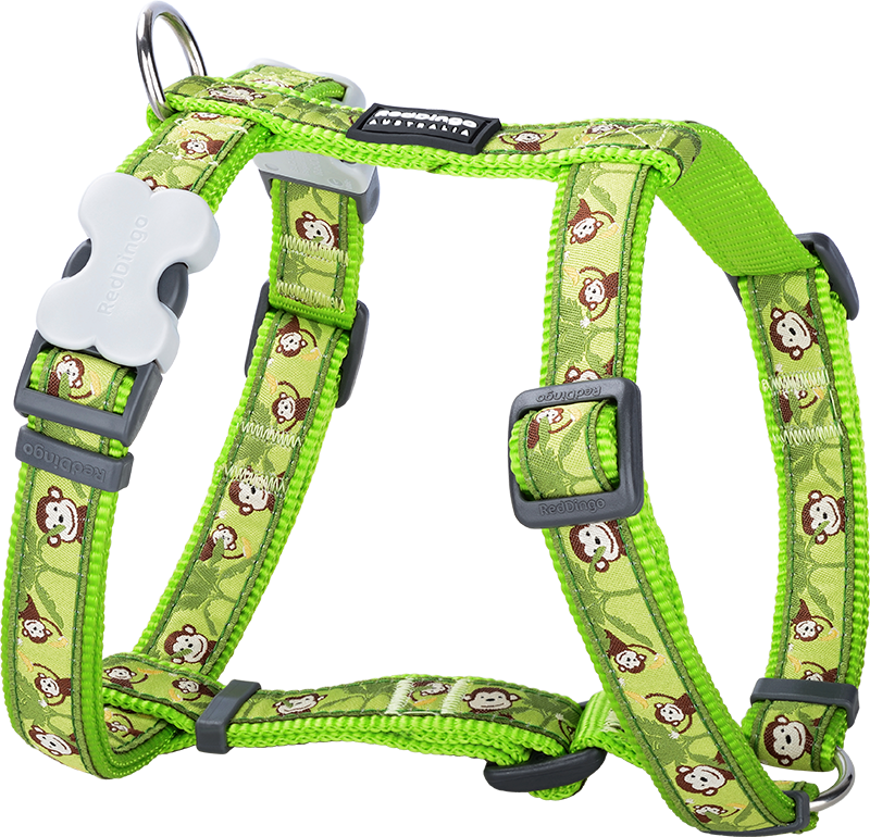 RD  Harnas Monkey Limoen Groen-XS 12mm
