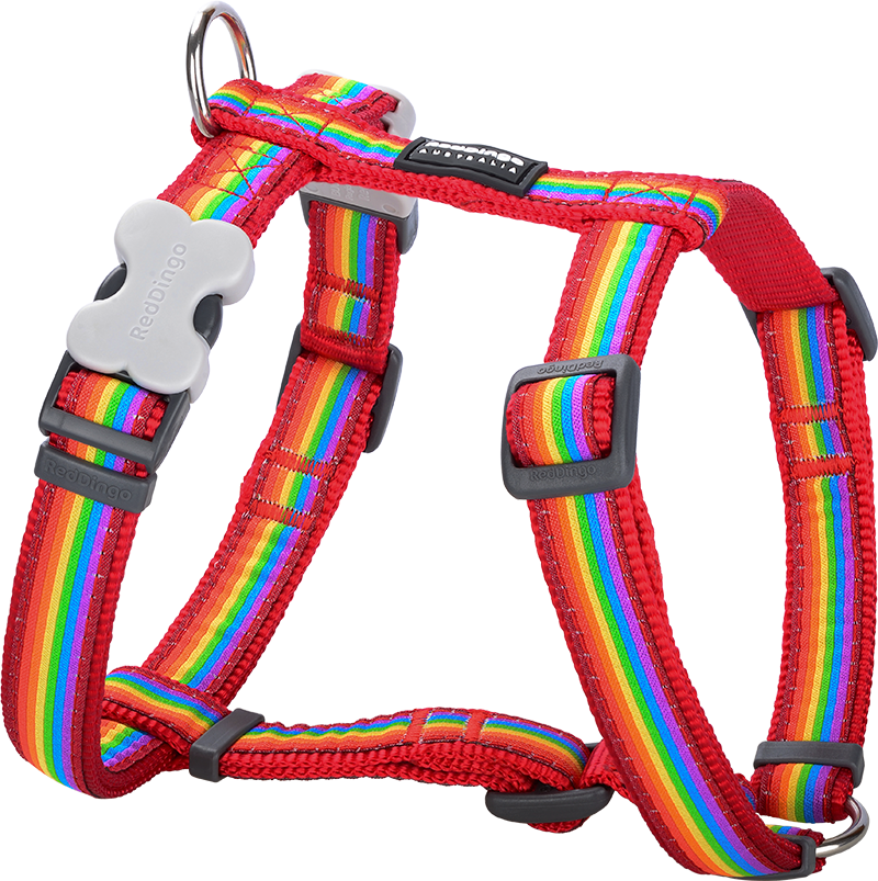 RD  Harnas Rainbow Rood-XS 12mm