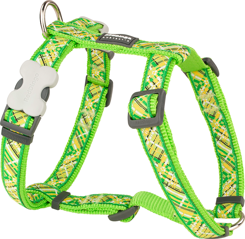 RD  Harnas Flanno Limoen Groen-S 15mm