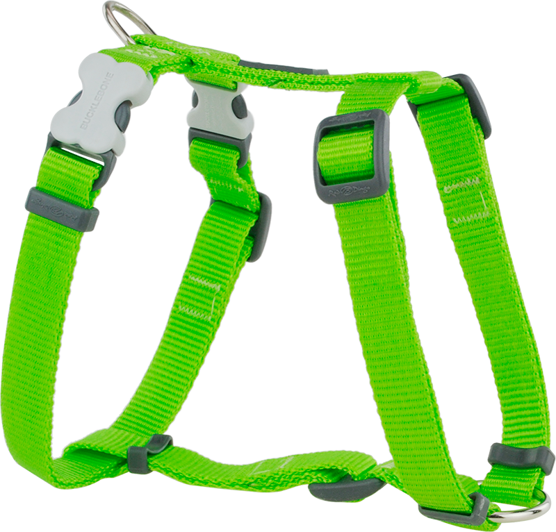 RD  Harnas Limoen Groen-M 20mm