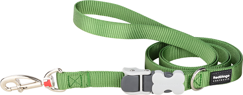 [SL-ZZ-GR-15] RD  SuperLead Leiband Groen-S 15mmx1,1-1,8m