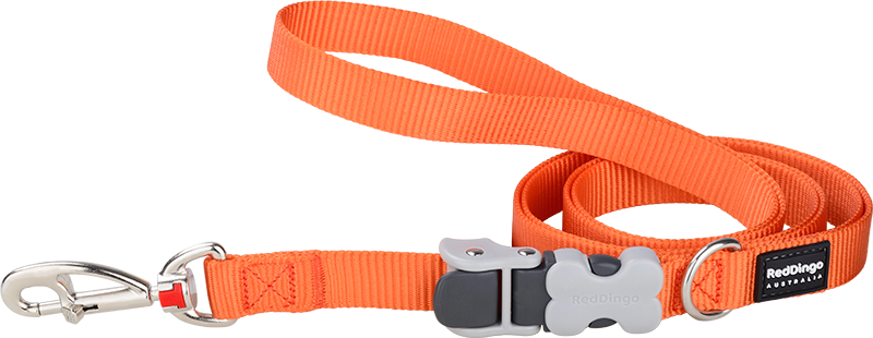 RD  SuperLead Leiband Oranje-M 20mmx1,1-1,8m