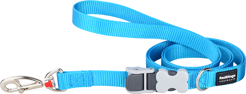 RD  SuperLead Leiband Turquoise-M 20mmx1,1-1,8m