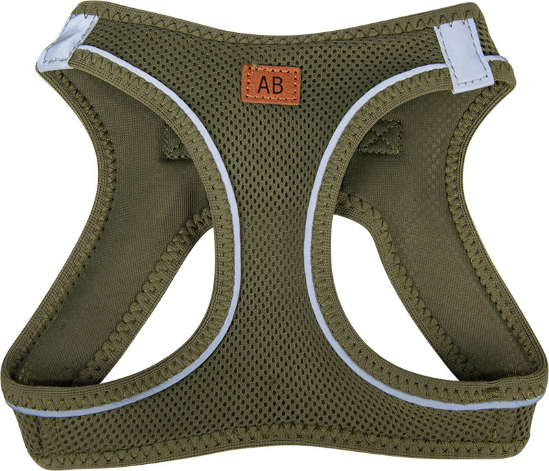 AB PROMENADE Air-Mesh Geschirr Grün-XL 12-16kg