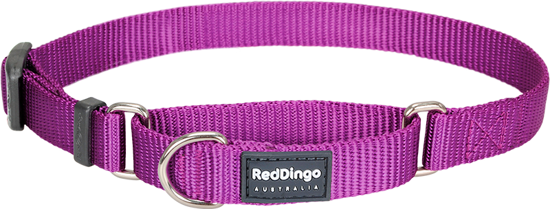 [MC-ZZ-PU-20] RD Sliphalsband Purper-M 20mmx32-47cm