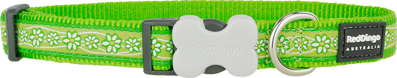 RD Collar Daisy Chain Lime Green-M 20mmx31-47cm