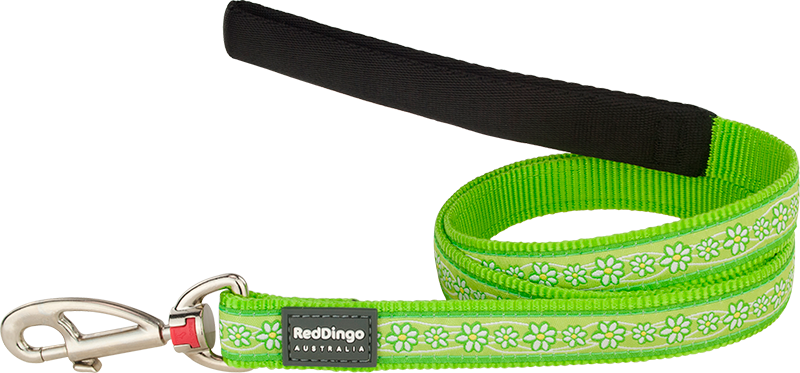 [L4-DC-LG-15] RD Laisse Courte Daisy Chain Vert Citron-S 15mmx1,2m