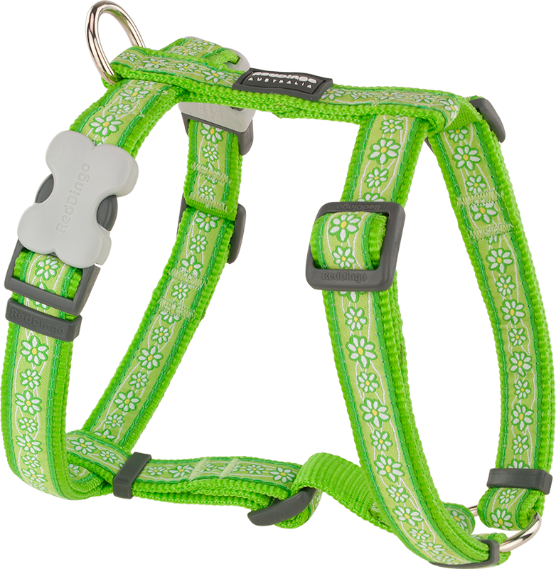 [DH-DC-LG-25] RD Harnais Daisy Chain Vert Citron-L 25mm