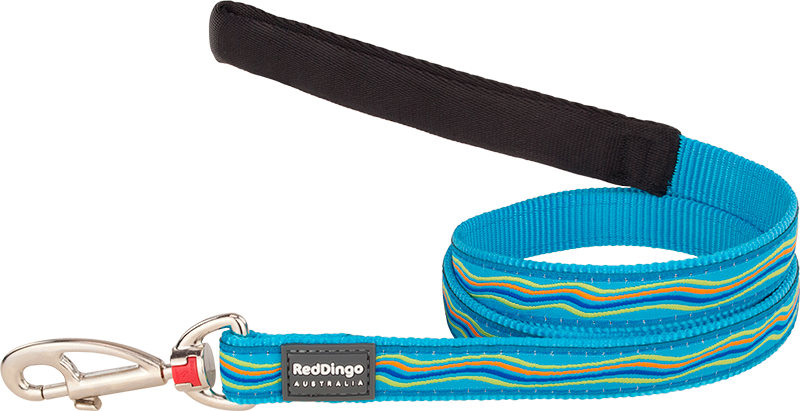 RD Leiband Dreamstream Turquoise-L 25mmx1,2m