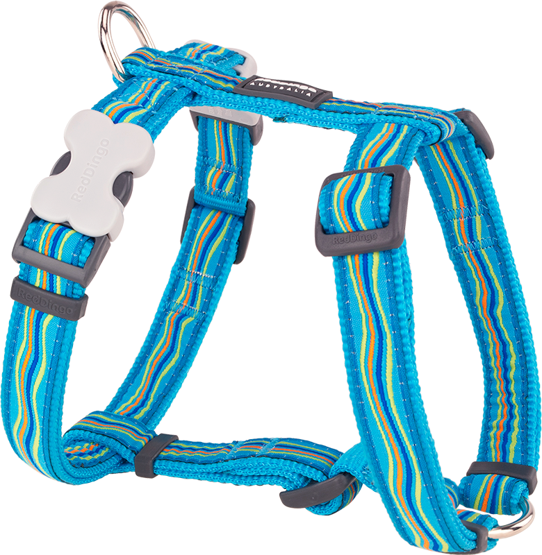 RD Harnais Dreamstream Turquoise-L 25mm