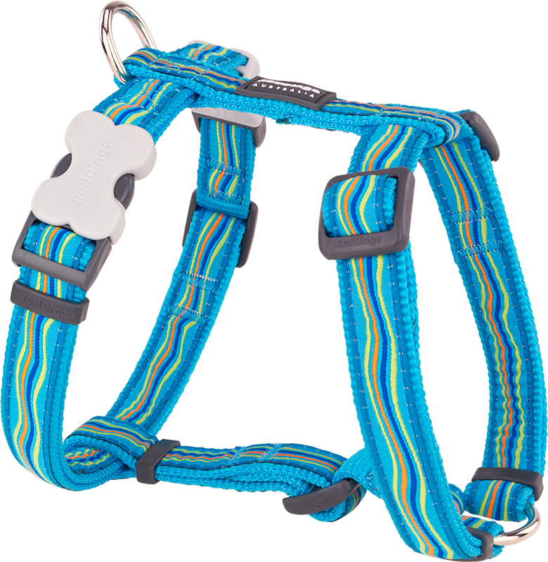 RD Harness Dreamstream Turquoise-L 25mm