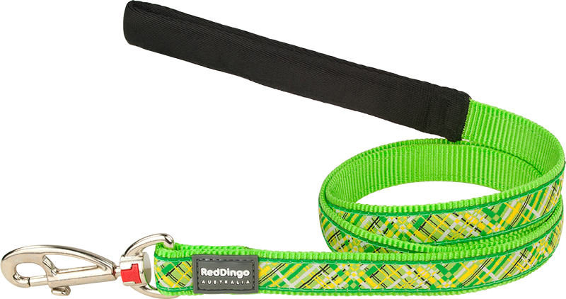 RD Laisse Courte Flanno Citron Vert-L 25mmx1,2m